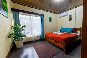 a bedroom with a bed and a window and a plant at Hormiga's Houses La Fortuna in Fortuna +106 photos