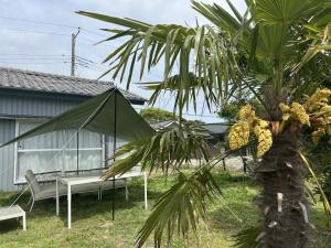 a palm tree with a bench and an umbrella at TORAMIKE2 - Vacation STAY 53883v in Ichigaya