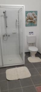 a bathroom with a shower and a toilet and a rug at Blue Flower Cottage in Lightning Ridge