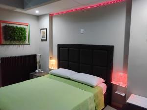 a bedroom with a large bed with a green blanket at Suite House in Sora