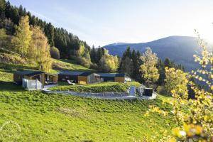 a house on a hill in a green field at Possegger Hideaways in Zödl