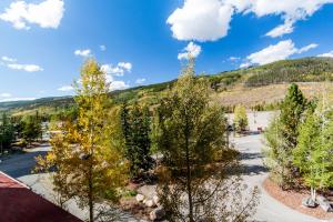 an aerial view of trees and a mountain at Silver Mill #8222 in Keystone