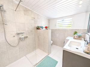 a bathroom with a shower and a sink at 30 Kas Di Mi Sonjo in Kralendijk