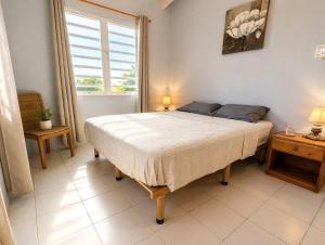 a bedroom with a large bed in a room with a window at 30 Kas Di Mi Sonjo in Kralendijk