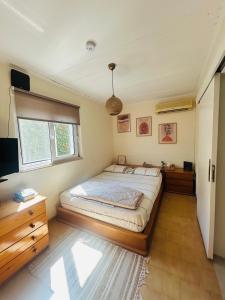 a bedroom with a large bed and a television at Grandpa’s cottage in Nea Makri