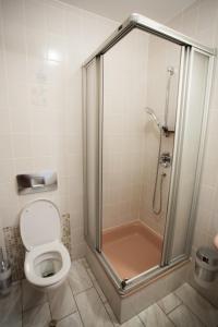 a bathroom with a shower and a toilet at Landgasthaus Zu den Erdfällen in Bad Pyrmont