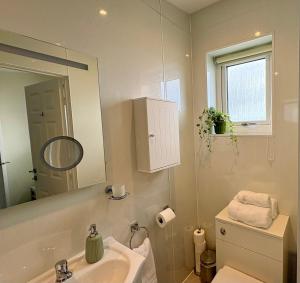 a bathroom with a sink and a mirror at Minch View Cabin 1 in Earlish