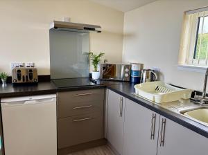 a kitchen with a counter with a sink and a microwave at Minch View Cabin 1 in Earlish