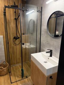 a bathroom with a shower and a sink at Studio apartment in Slezská Ostrava