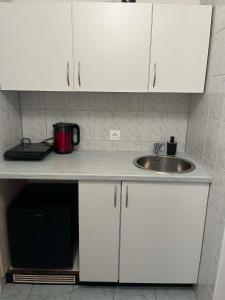 a kitchen counter with a sink and a microwave at Willow Apartmant in Harkány
