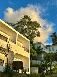 a white building with a tree in front of it at Actium in Vlorë