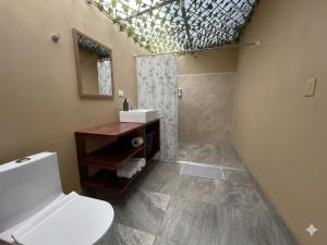 a bathroom with a white toilet and a sink at IkI Volcán Arenal #2 in Fortuna