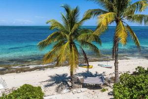 two palm trees and a hammock on a beach at Turtle Beach 5BR Snorkeling Kayaks & Family Entertainment in Providenciales +38 photos