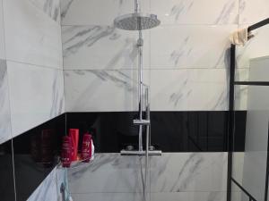 a shower in a bathroom with black and white tiles at Maison Élégante - Space & Comfort Vilvoorde in Vilvoorde +34 photos