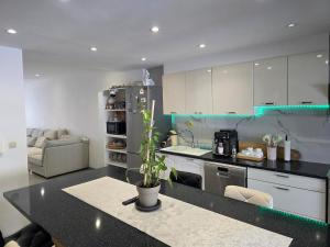 a kitchen with a black counter top with a potted plant at Maison Élégante - Space & Comfort Vilvoorde in Vilvoorde