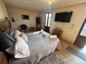 a bedroom with a bed and a flat screen tv at Loft Elena en ValQuirico in Santeagueda