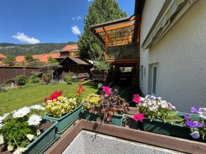 a garden with flowers in boxes on the side of a building at Steinadler Apartments Quiet Location Garden, Private Parking Pet Friendly in Murau