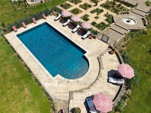 an overhead view of a swimming pool with chairs and umbrellas at Luxury Gites de Chateau Mirabel - Latour - with saltwater swimming pool and AC in Puylaurens