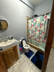 a bathroom with a shower with a toilet and a shower curtain at Tees Place in Hopkins