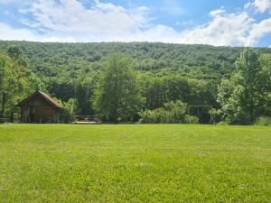 a field of grass with a cabin in the background at Kamp SAN in Zaglavica