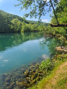 a view of a river with a bench in the water at Kamp SAN in Zaglavica