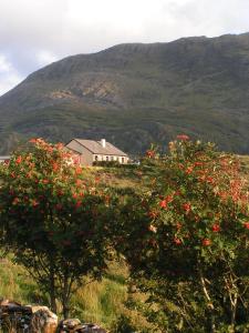 a house on top of a hill with flowering trees at Ard Na Mara Beach Cottage in Renvyle