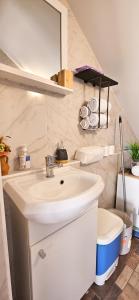 a bathroom with a sink and a toilet at Elis in Hrašćina