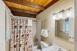 a bathroom with a sink and a shower curtain at The Last Run in Wardsboro +26 photos