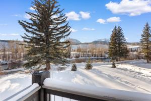 a snow covered yard with a tree on a fence at Summit Blue #30 : 2 in Silverthorne