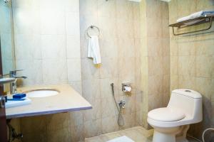 a bathroom with a toilet and a sink at Milson Hotel in Naran