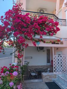 a bunch of pink flowers hanging from a building at Filomeni Studios in Pefkochori