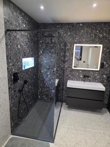 a bathroom with a shower and a sink and a mirror at Chez Alex in Verviers
