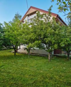 a house with two trees in the yard at Villa Vishensburg in Višni