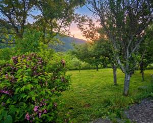 a garden with trees and flowers in a field at Villa Vishensburg in Višni +3 photos