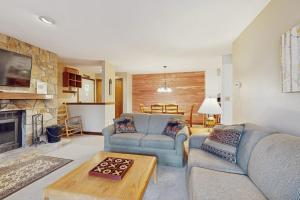 a living room with two couches and a fireplace at The Seasons G17 in West Dover