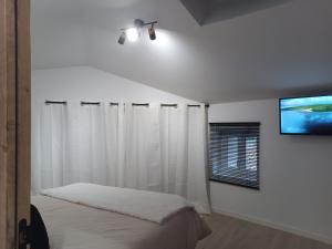 a bedroom with a bed and a flat screen tv at DUPLEX 3eme étage in Le Vigan