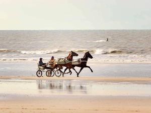 two people riding a horse drawn carriage on the beach at Hotel Ibis Budget Deauville in Deauville