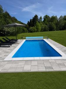 a blue swimming pool with an umbrella and grass at Black Cabin Lokve in Homer