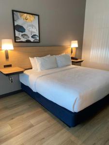 a large bed in a hotel room with two lamps at City Express by Marriott Spring North Houston in Spring