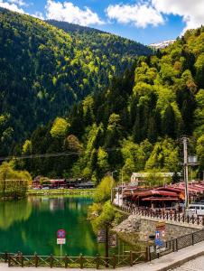 a body of water with a mountain in the background at Deal Otel in Uzungöl