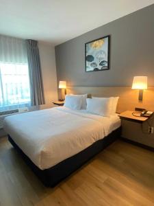 a large bed in a hotel room with two lamps at City Express by Marriott Spring North Houston in Spring