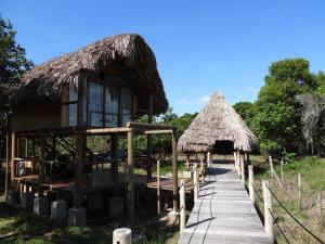 a small building with a thatched roof and a walkway at Ecopayara Hotel Puerto Gaitán in Puerto Gaitán +15 photos