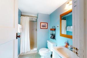 ein blaues Badezimmer mit Toilette und Waschbecken in der Unterkunft Hydrangea Cottage in Castleton + 29 Fotos