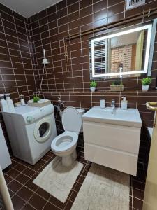 a bathroom with a toilet and a sink at Piva Rustic Escape in Plužine