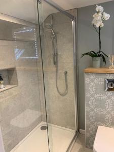 a shower with a glass door in a bathroom at Brook Lodge, One bed house in AONB Dorset with swimming pool in Iwerne Minster +9 photos