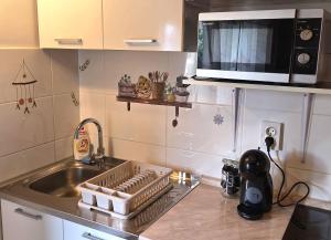 a kitchen sink with a dish drying rack next to it at Studio Apartment Lino in Skrbčići +13 photos