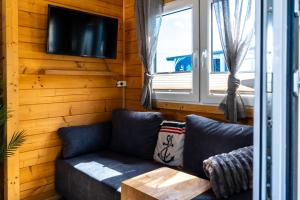 a living room with a couch and a tv and a window at Haus am See Thermal Bad Saarow in Bad Saarow