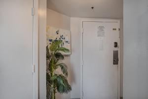 a hallway with a white door and a plant at The Palace 505 in Myrtle Beach