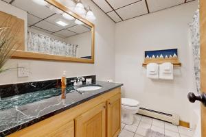 a bathroom with a sink and a toilet at Chalet Gibby in Killington +73 photos