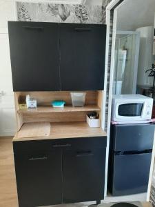a kitchen with a counter with a microwave and a microwave at Le studio à la campagne in Saint-Gobert